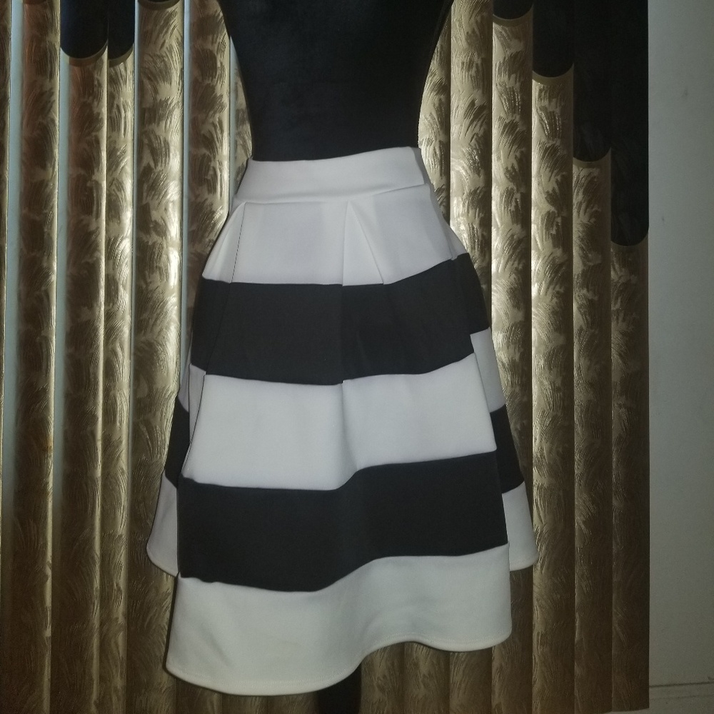 Charlotte Russe Black & White Skater Skirt